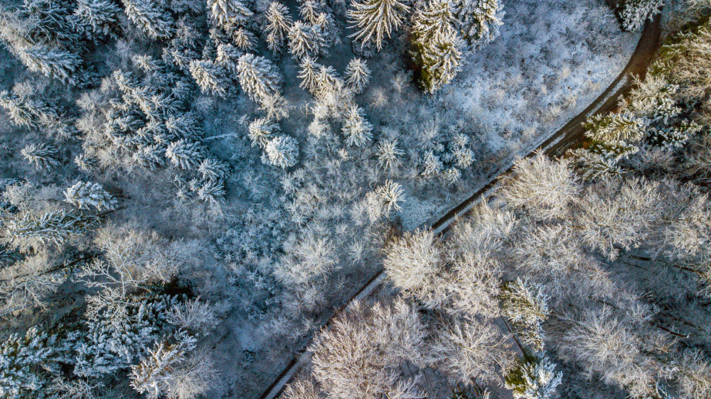 winter mood von Urs Zimmermann