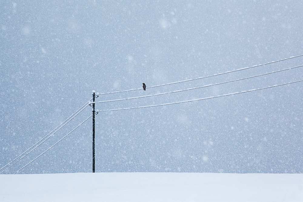 a long day in winter von Uschi Hermann