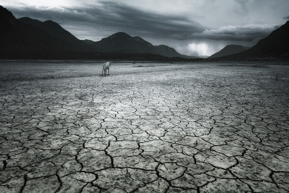 the long way von Uschi Hermann