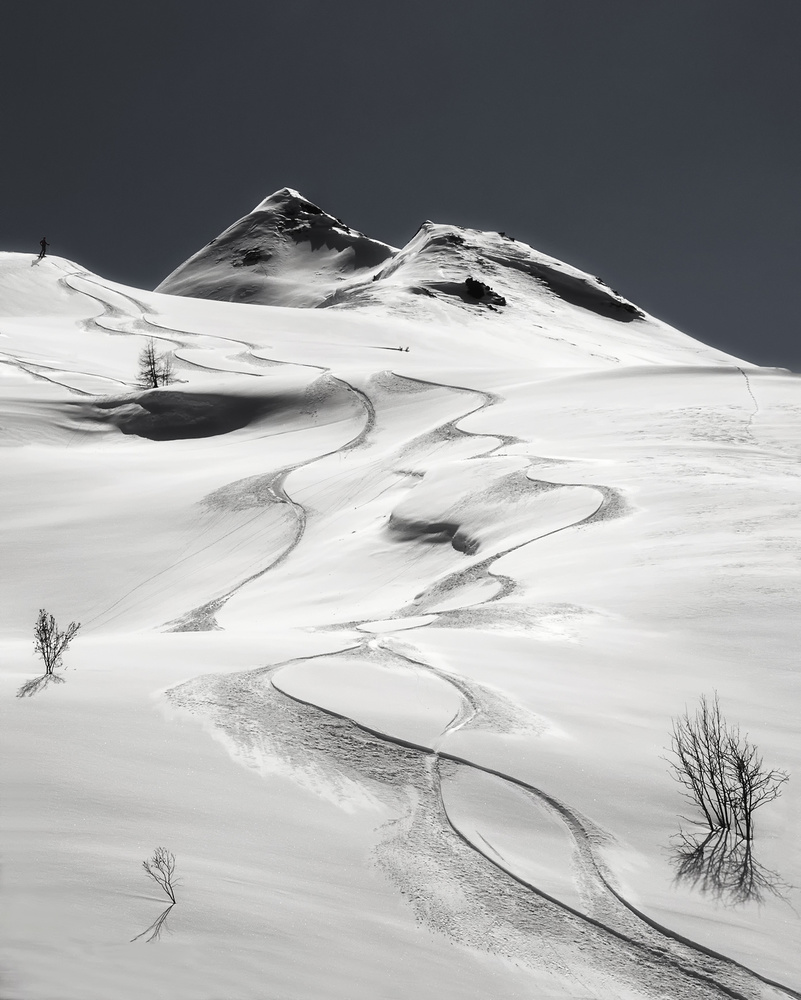 freeride von Uschi Hermann