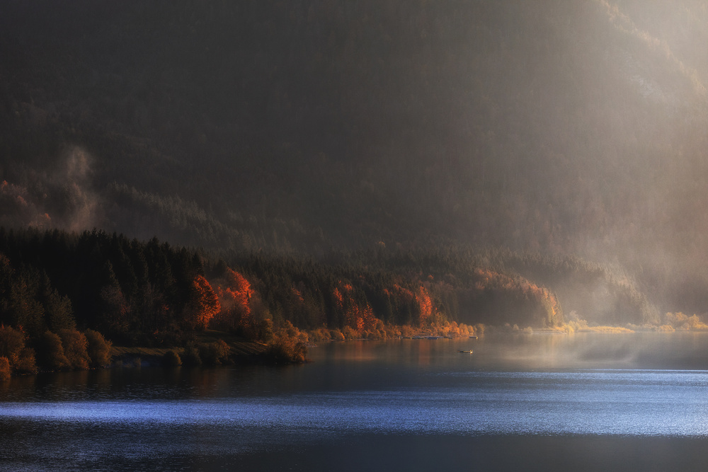 autumn light von Uschi Hermann