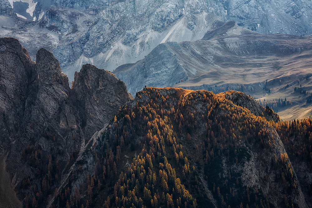 light of autumn von Uschi Hermann