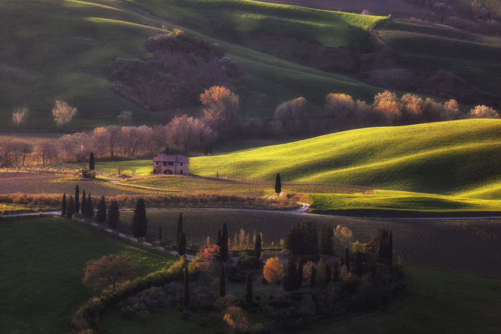 light over the hills von Uschi Hermann