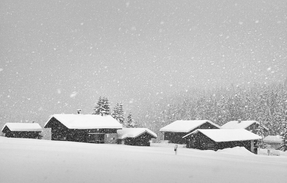 coming home von Uschi Hermann