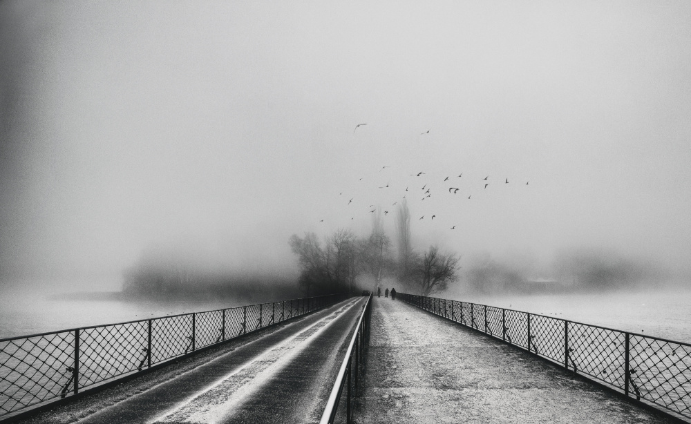 foggy day von Uschi Hermann