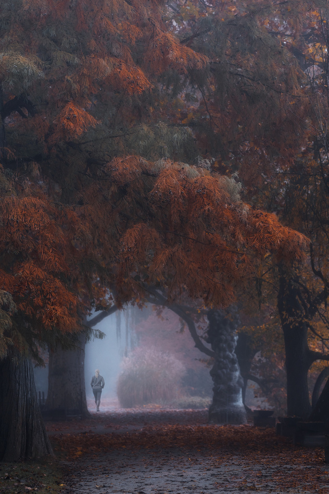 never look back von Uschi Hermann