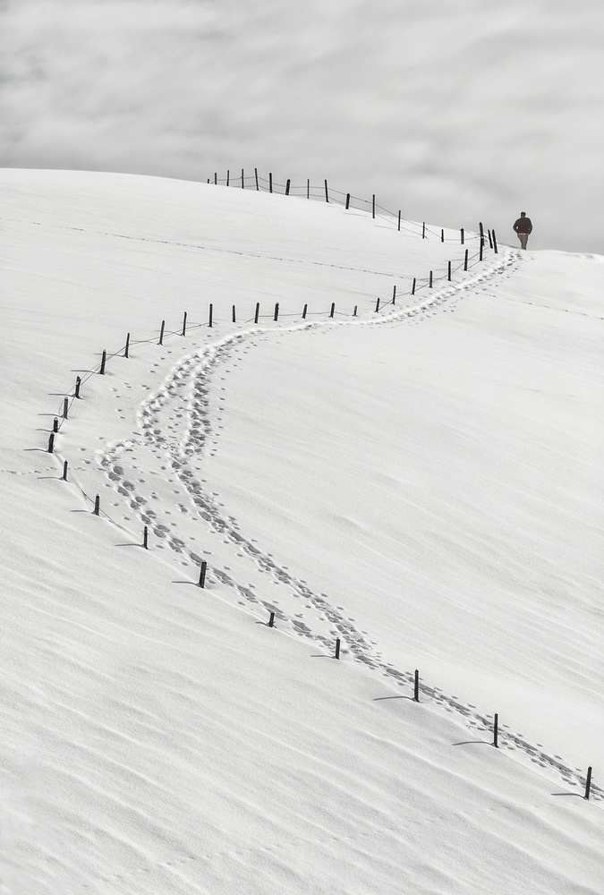 step by step von Uschi Hermann