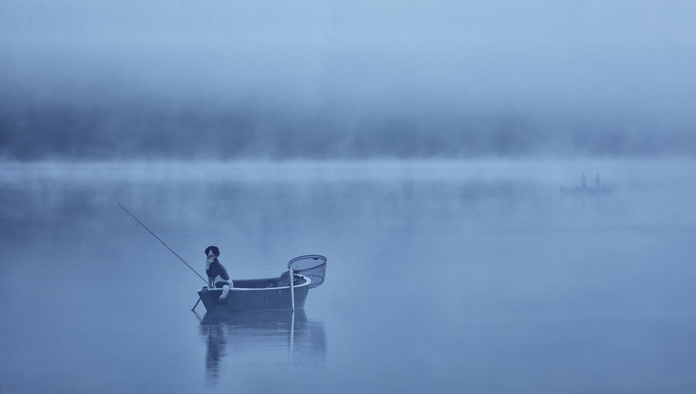 still waiting von Uschi Hermann