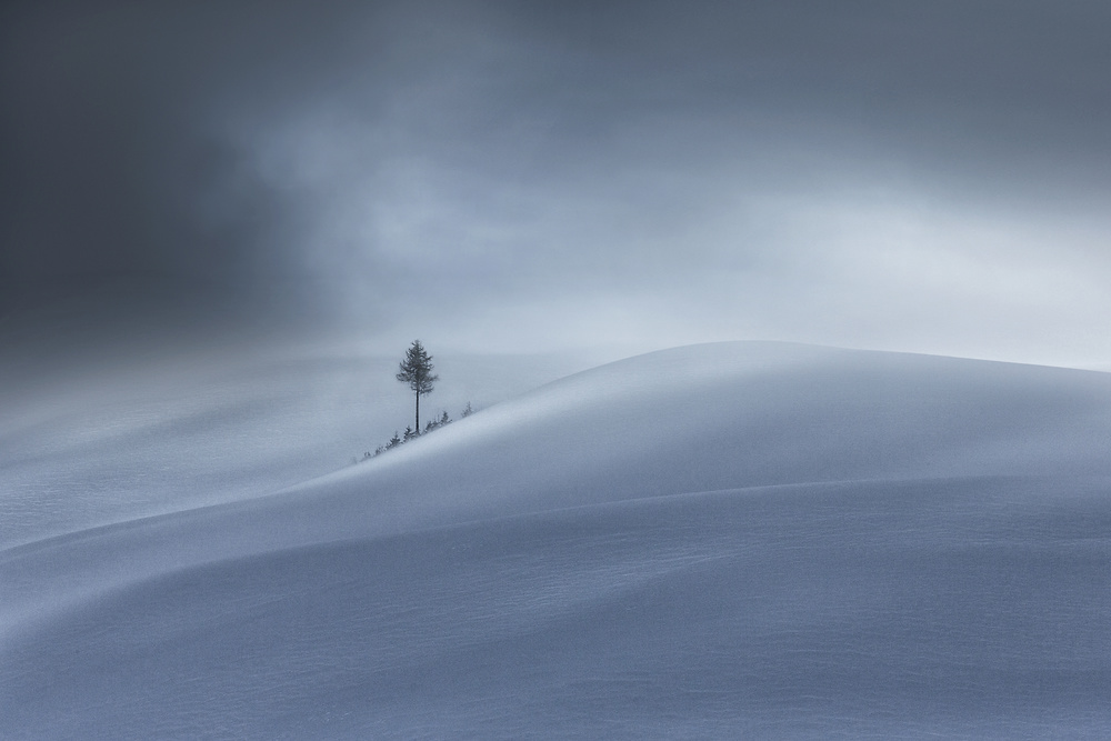 wintertime von Uschi Hermann