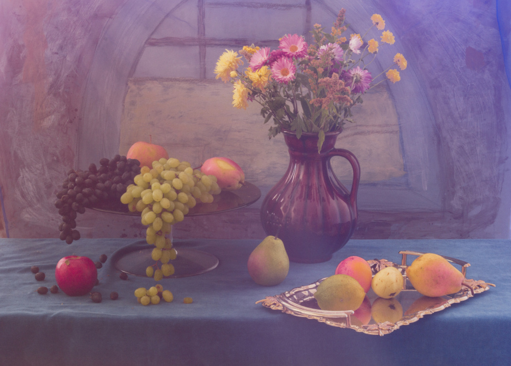 Still Life with Grapes von UstinaGreen