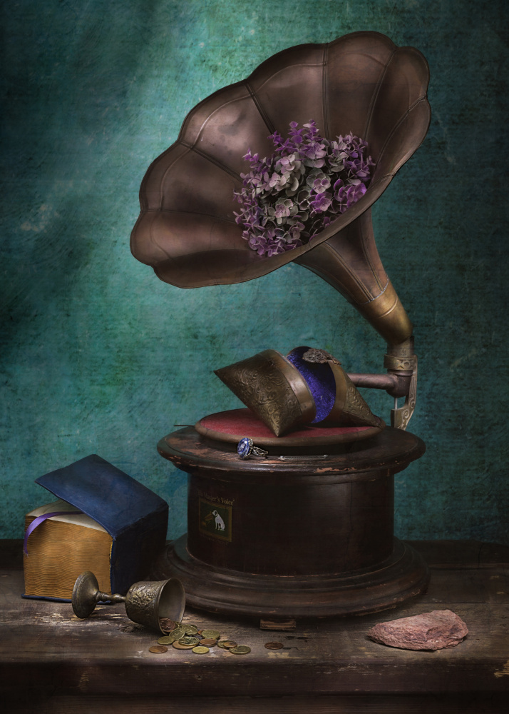 The Life of a Gramophone von Vadim Kulinsky