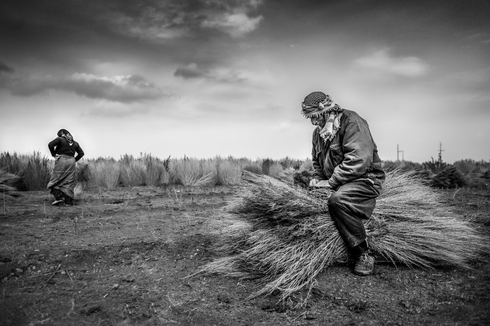 Life von Vahid Ghasemi Zarnoosheh