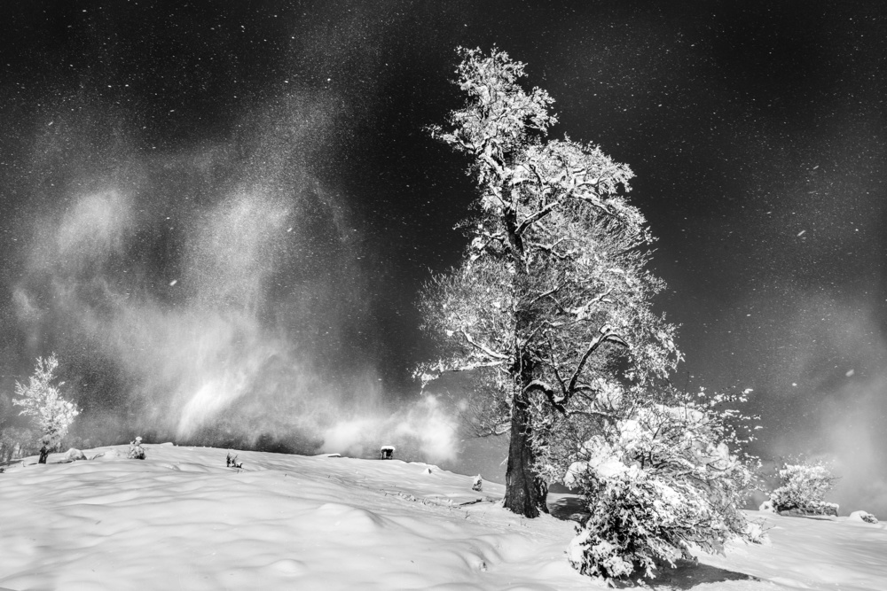 Dancing In The Night von Vahid Varasteh