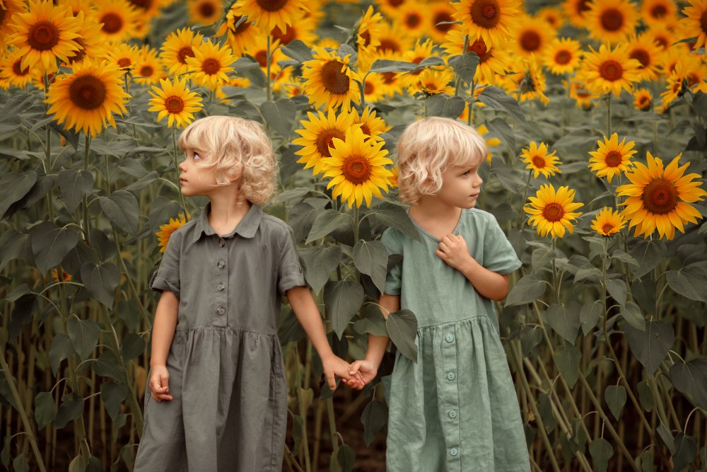 A Walk in the Sunflowers von Valentina Rabtsevich