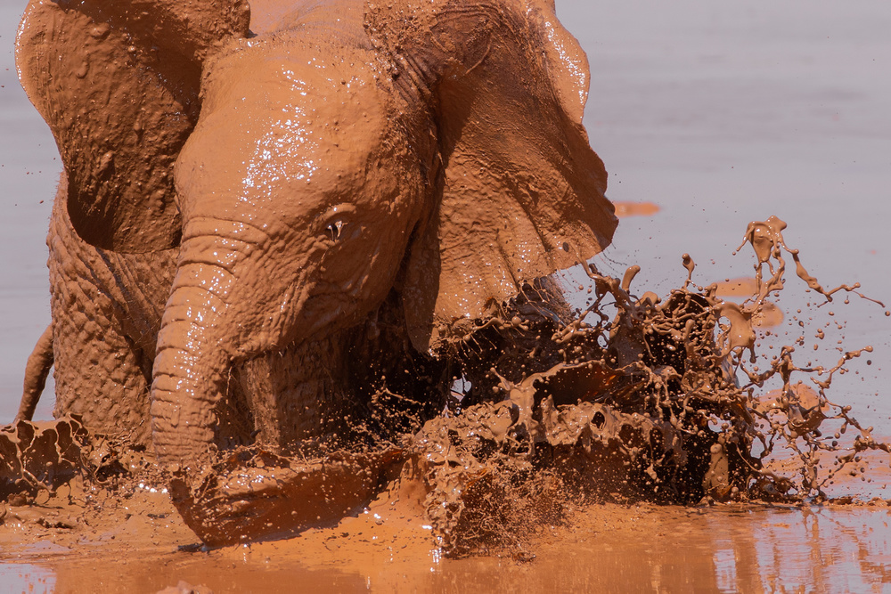 Light and mud von Valerio Ferraro