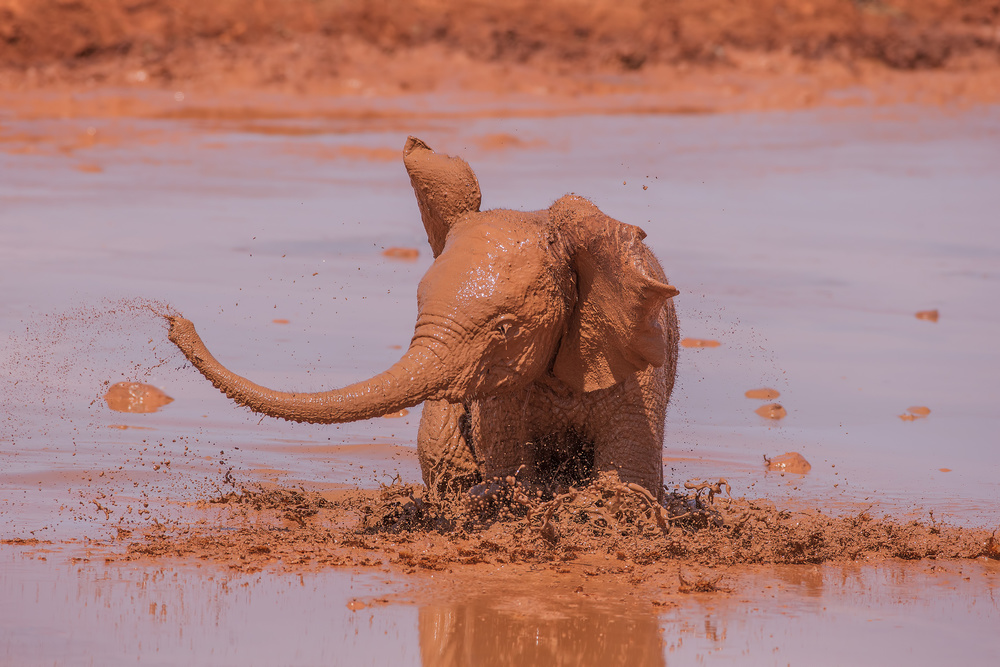 Red Tsavo von Valerio Ferraro