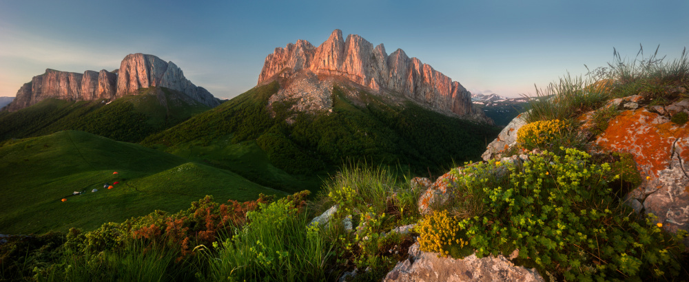 In summer in the mountains von Valeriy Shcherbina