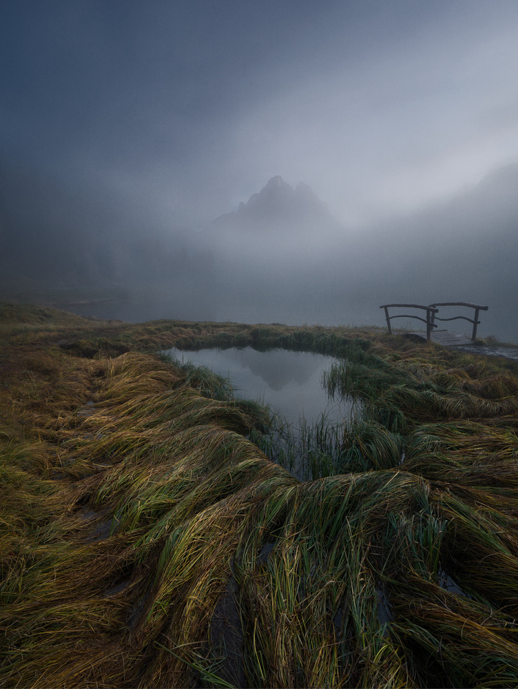 Fog magic von Valeriy Shcherbina