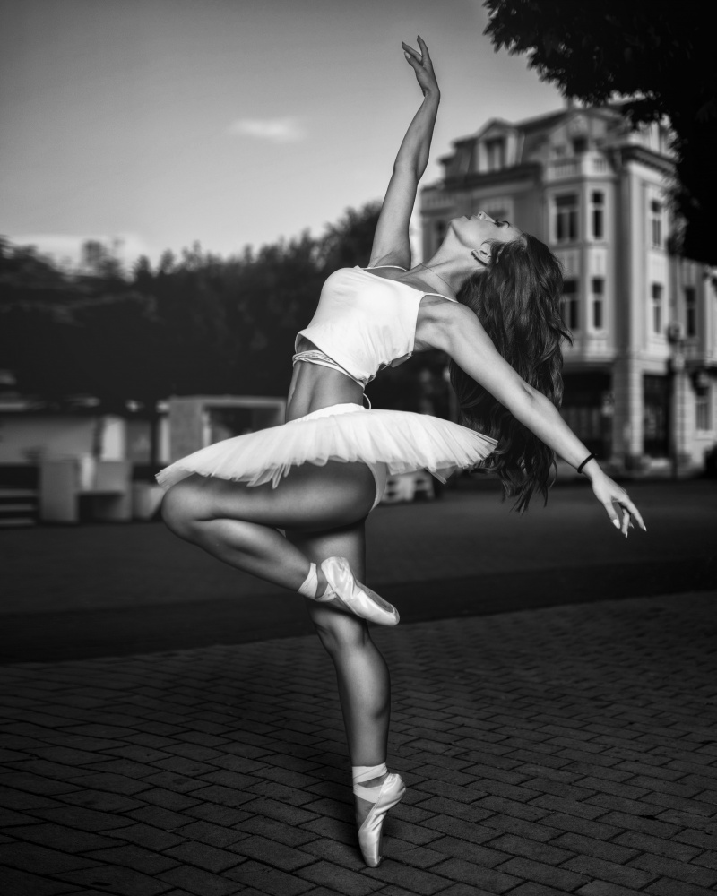 Ballerina von Vasil Nanev