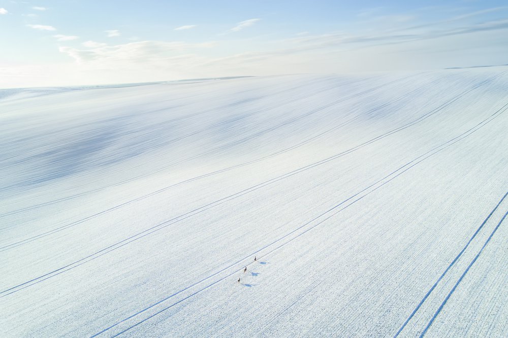 Winter wonderland von Vasily Iakovlev