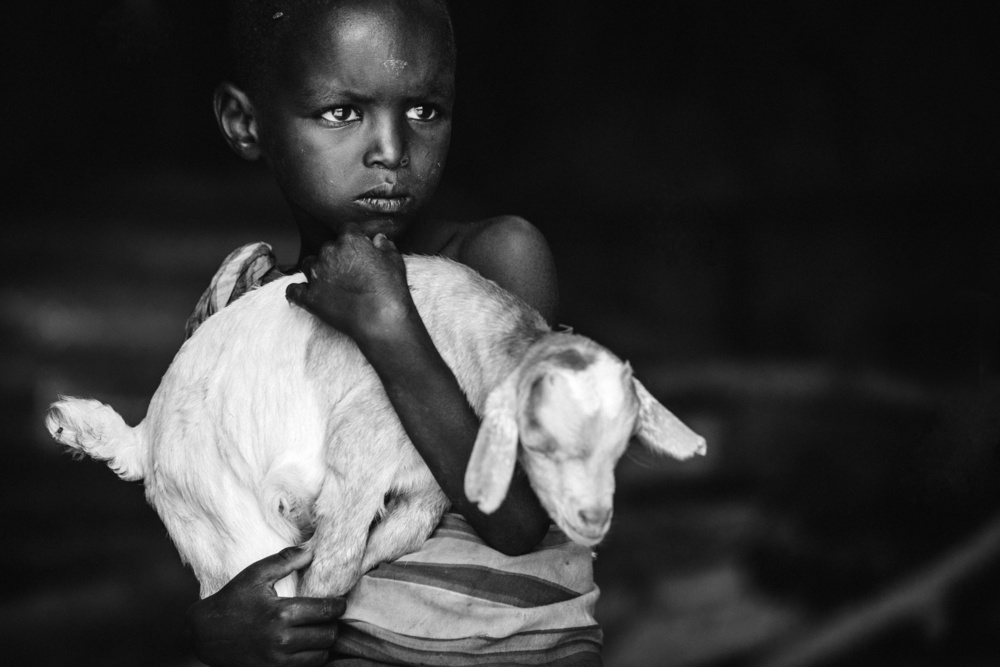 Boy and Goat von Vedran Vidak