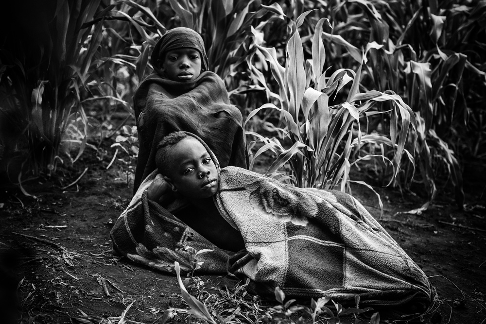 Boys in corn von Vedran Vidak