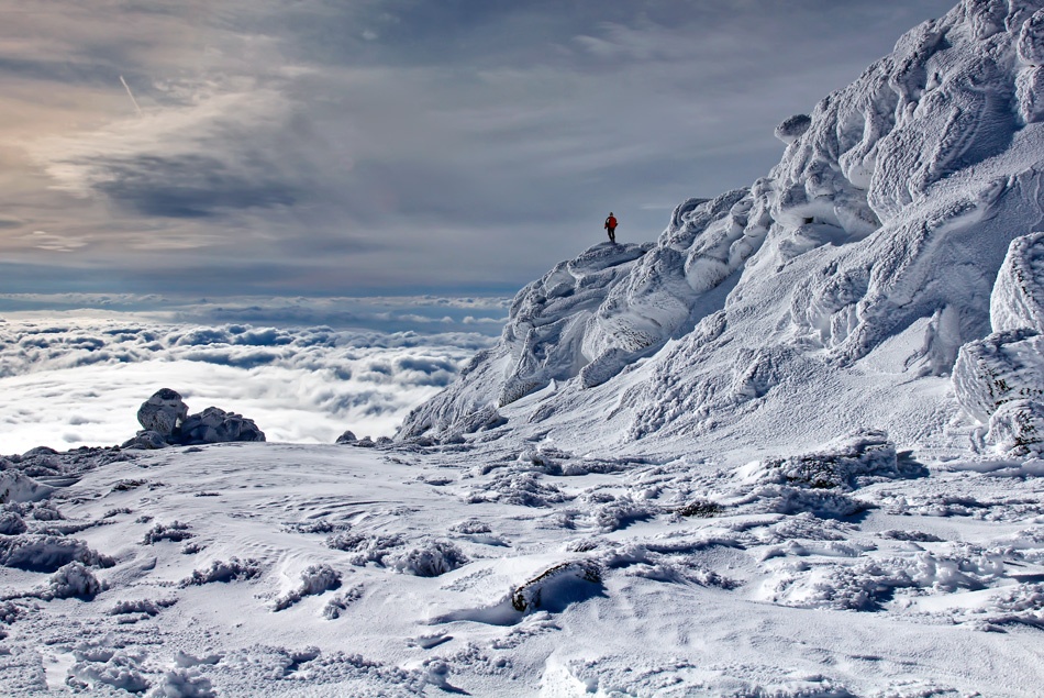 insignificant von Veselin Malinov