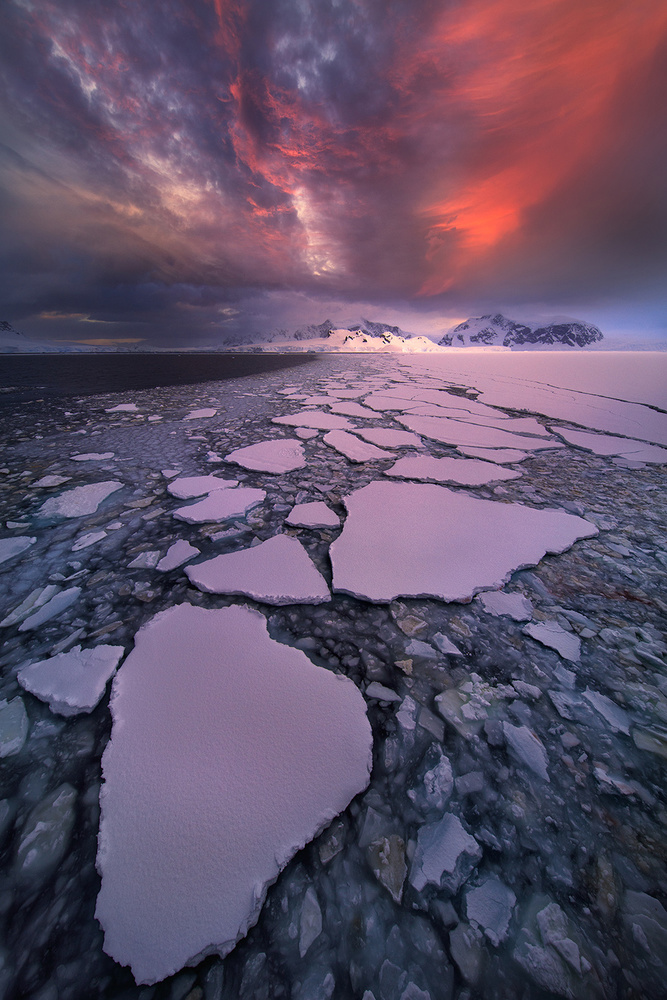 Antarctica fire von Victor Liu