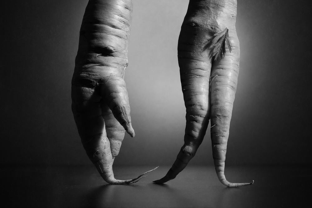 Just a still life photo with two carrots. Nothing else. von Victoria Glinka