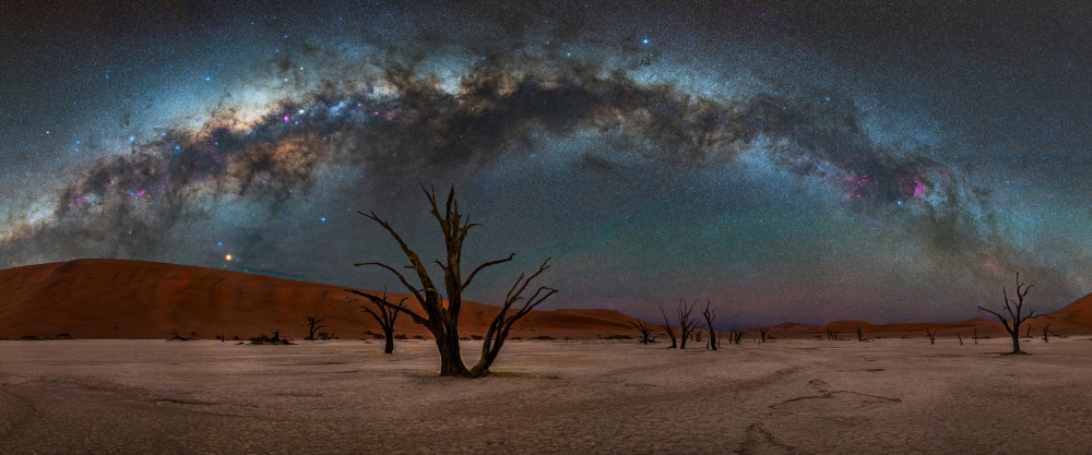 DeadVlei von Vikas Chander