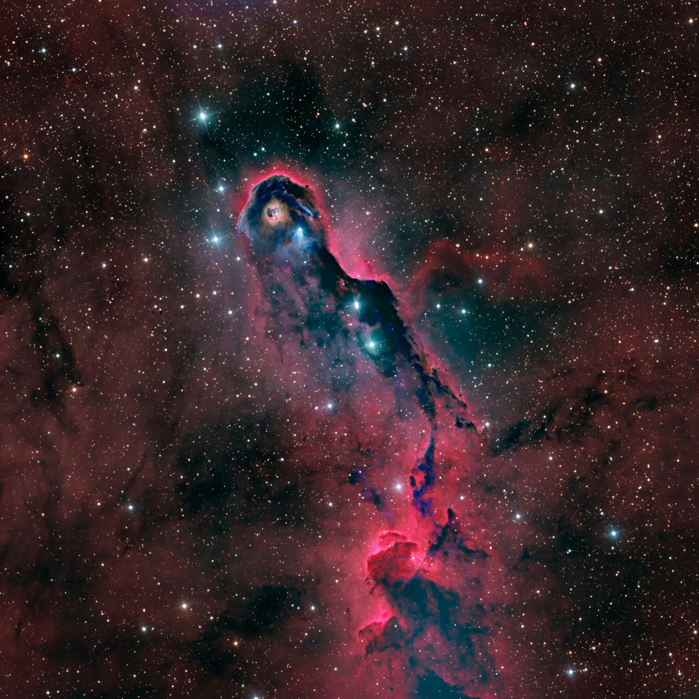 The Elephant Trunk Nebula von Vikas Chander