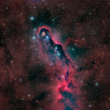 The Elephant Trunk Nebula