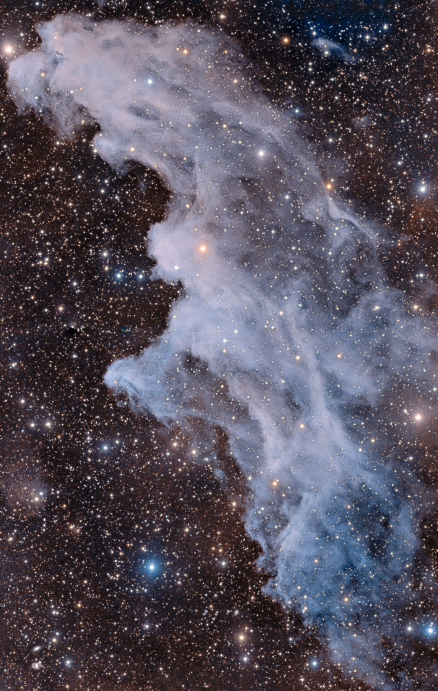 The Witch Head Nebula von Vikas Chander