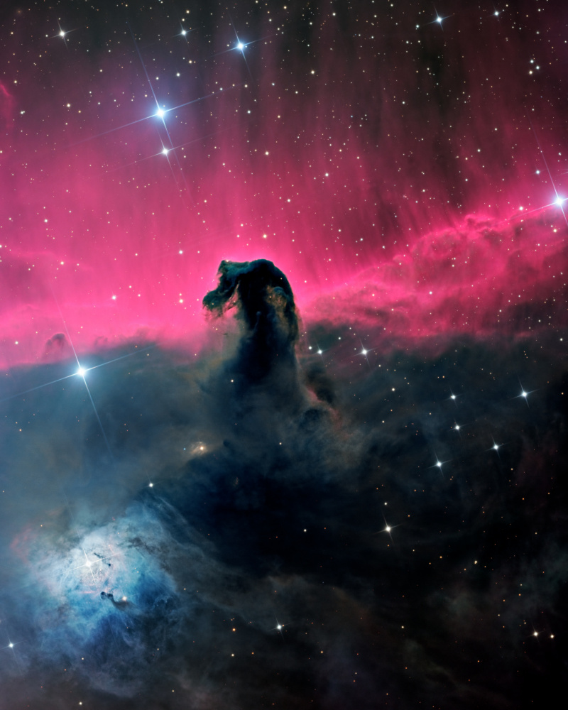 The Horsehead Nebula von Vikas Chander