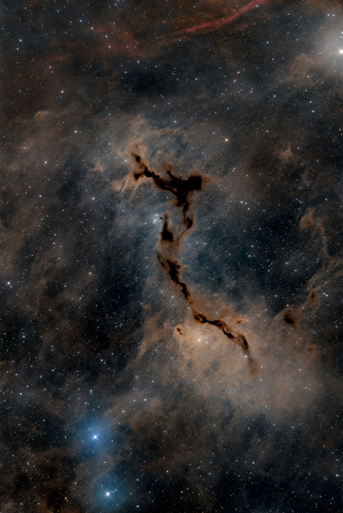 The Seahorse Nebula von Vikas Chander