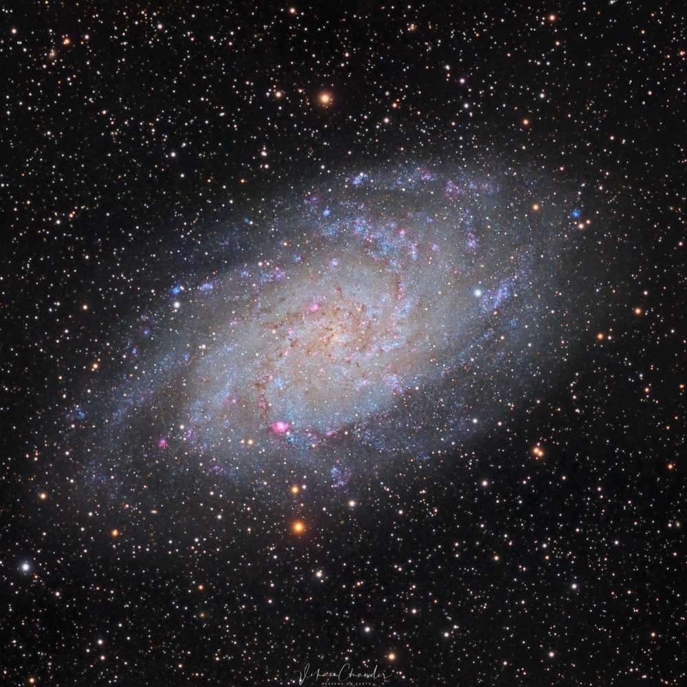 Triangulum Galaxy von Vikas Chander