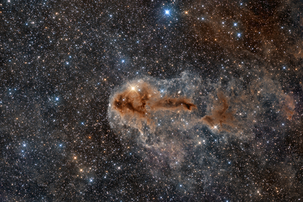 Rotten Fish Nebula von Vikas Chander