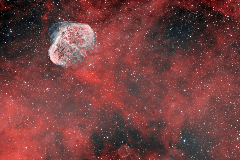 Crescent Nebula von Vikas Chander