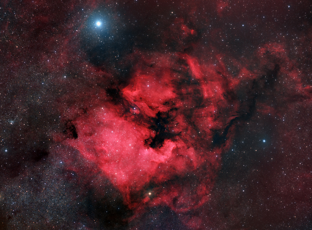 North American Nebula von Vikas Chander