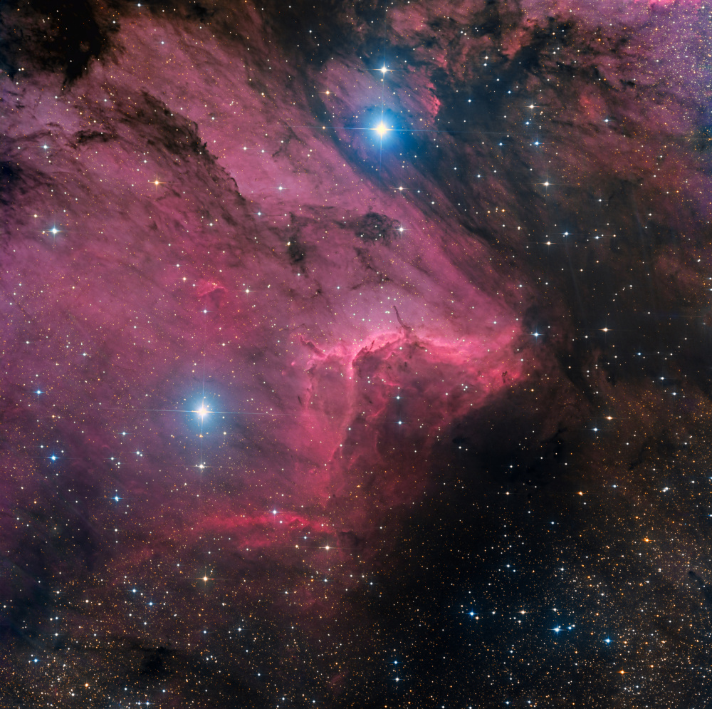 Pelican nebula von Vikas Chander