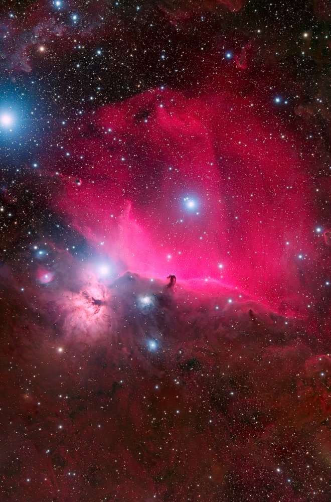 Horsehead nebula von Vikas Chander