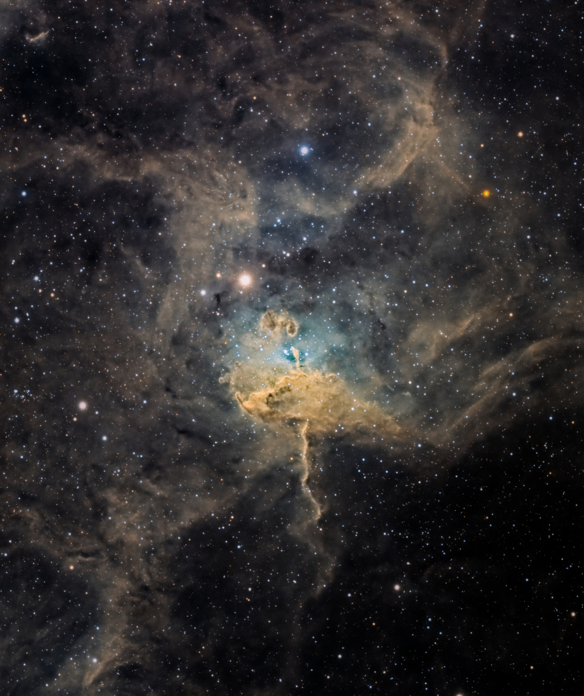 Spider Nebula von Vikas Chander