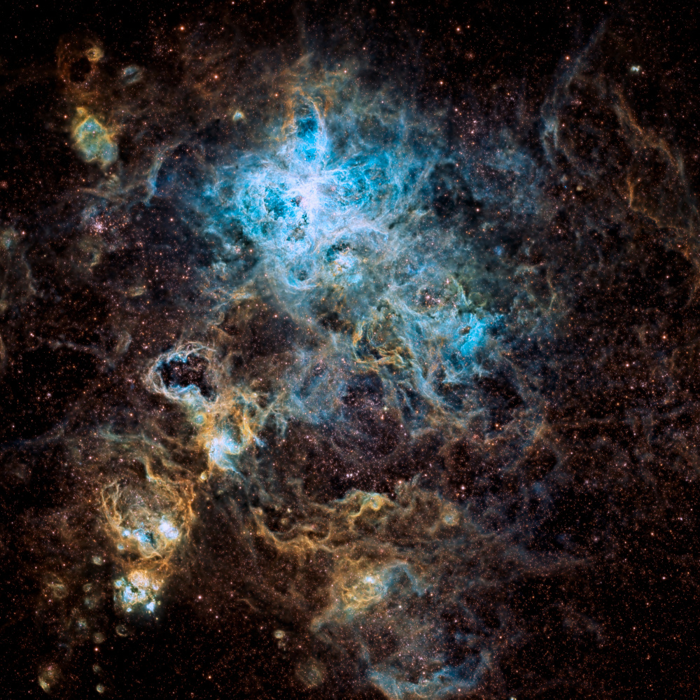 Tarantula Nebula von Vikas Chander