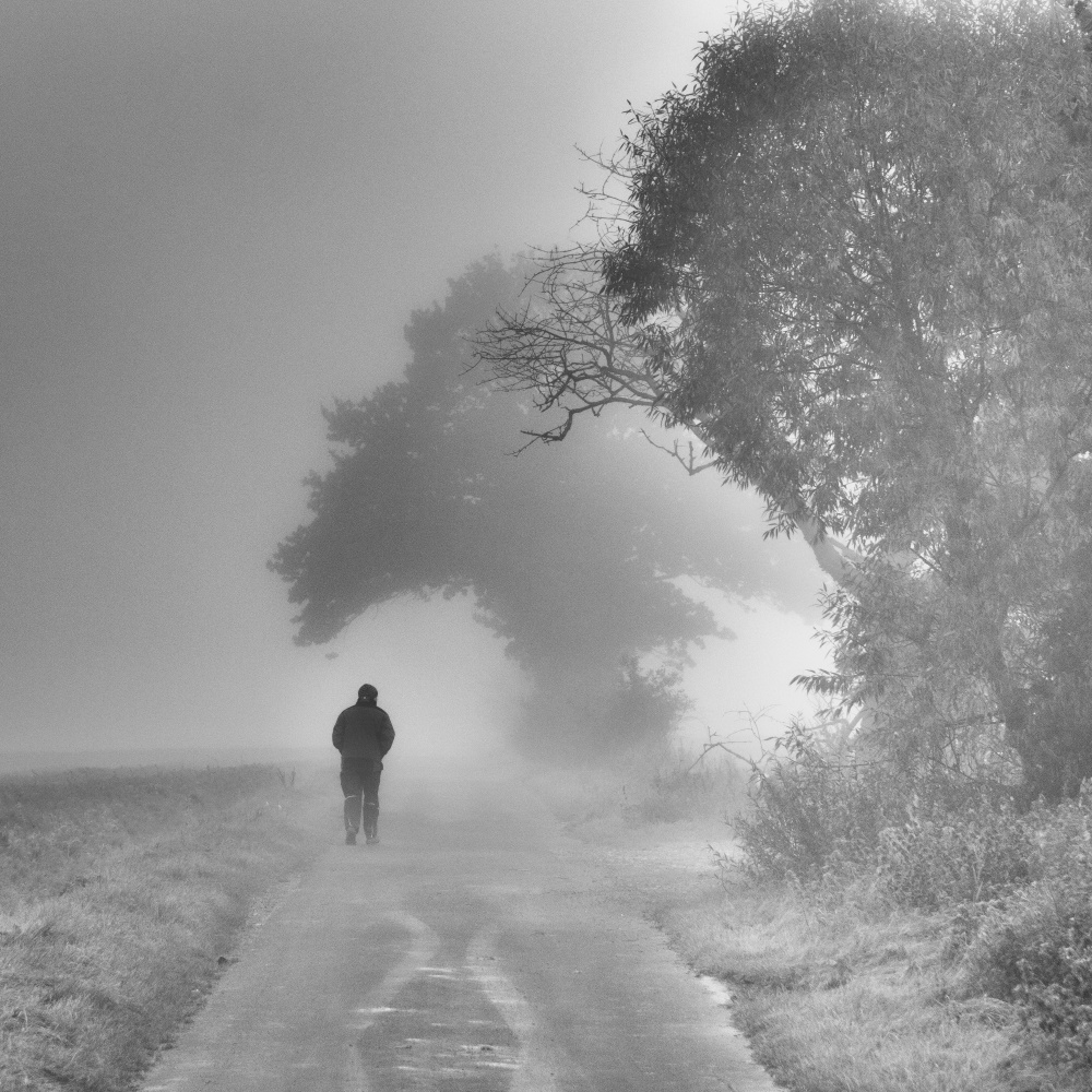 Gloomy morning von Viktor Bauer