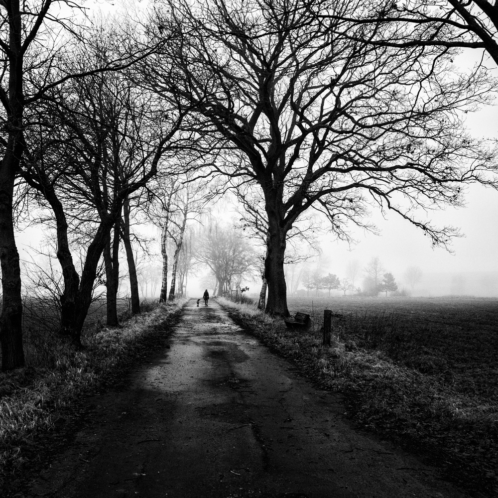 Lonely way back home von Viktor Bauer