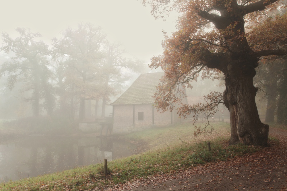 The old watermill von Vincent Croce