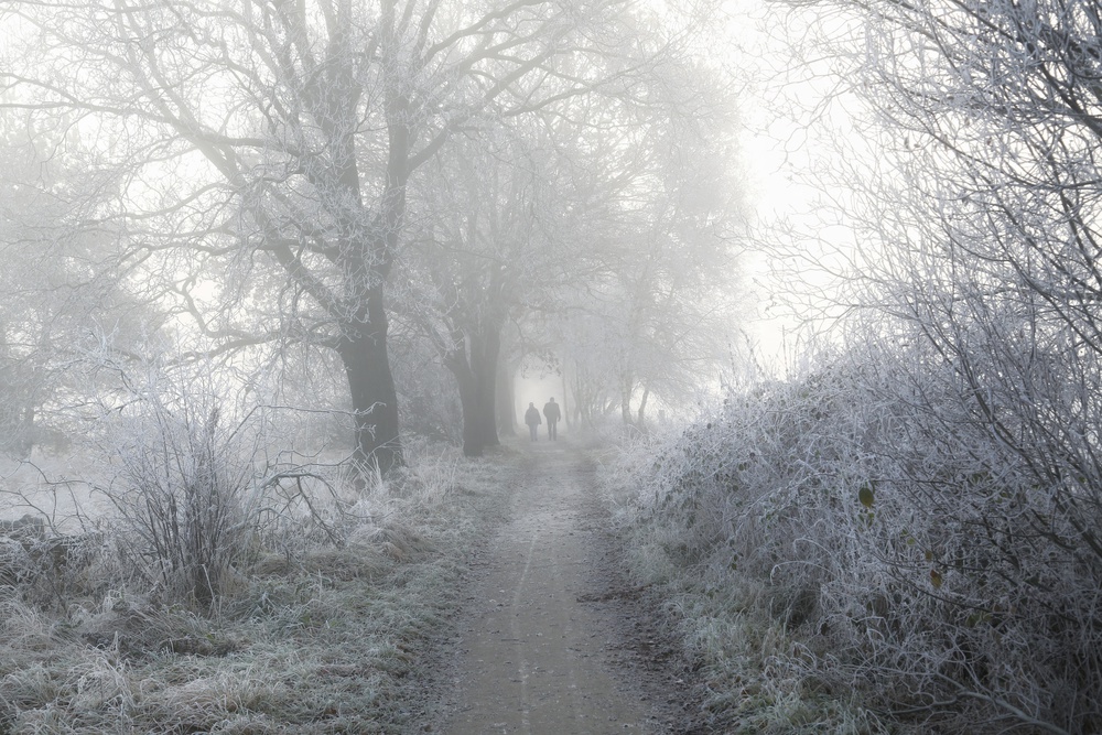 White walkers von Vincent Croce