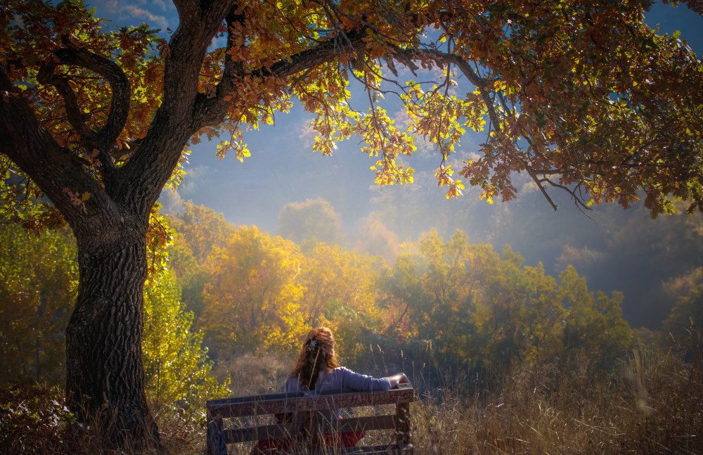 Woman sitting on a bench under a tree and facing a yellow autumn von Vio Oprea