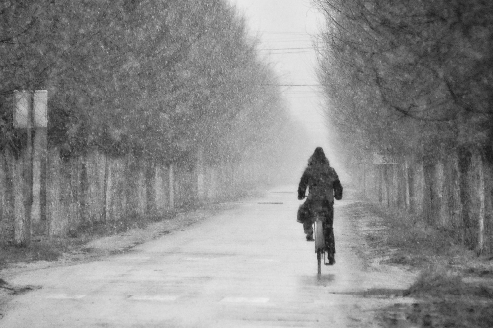 Road 2 von Violeta Milutinovic