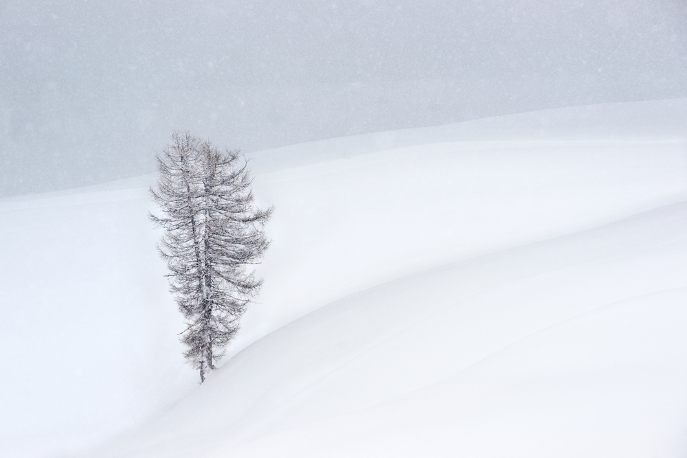 Me in a snowfall von Vito Miribung